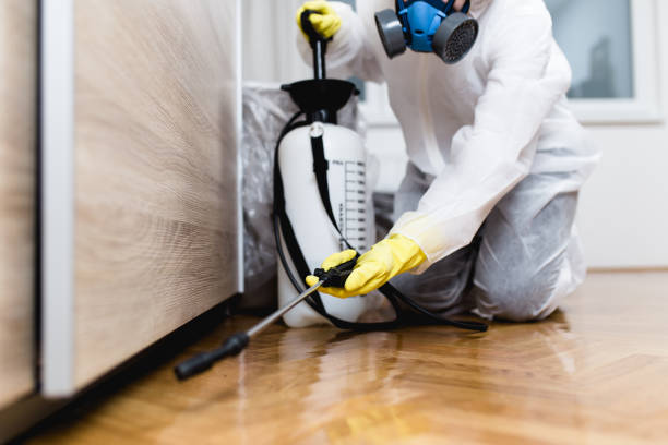 Best Affordable Pest Control Services  in Montgomery, OH