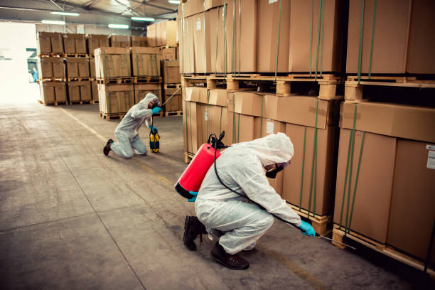 Best Ant Control Services  in Montgomery, OH
